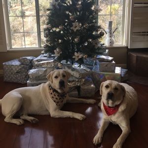 Meet your Posher, Erika